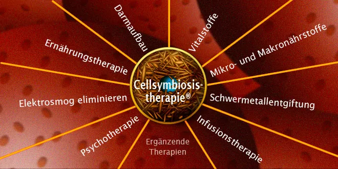 Cellsymbiosistherapie® mit der Heilpraktikerin Sabine Leistner-Mayer