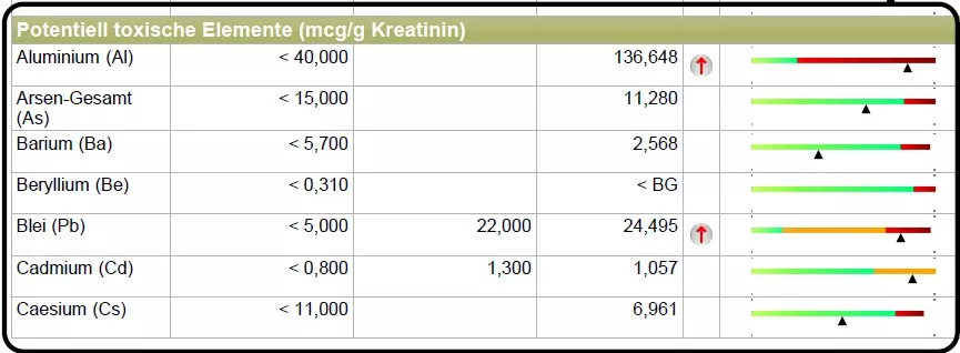 2. Auszug Schwermetalldiagnostik/Provokationstest in der Praxis für naturheilkunde